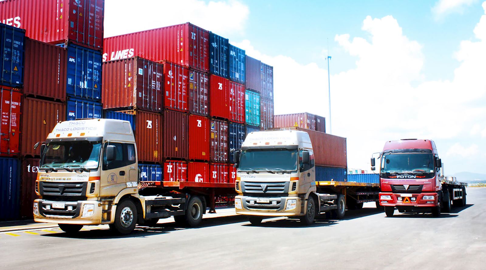 domestics.jpg
